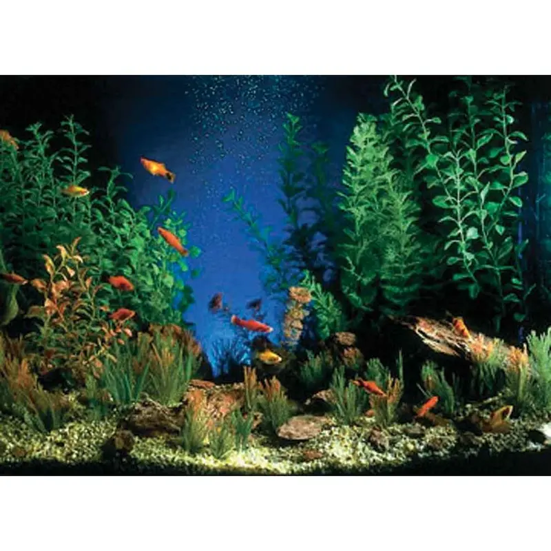Penn Plax Background - Aquarama/ Shalescape - 12 in.