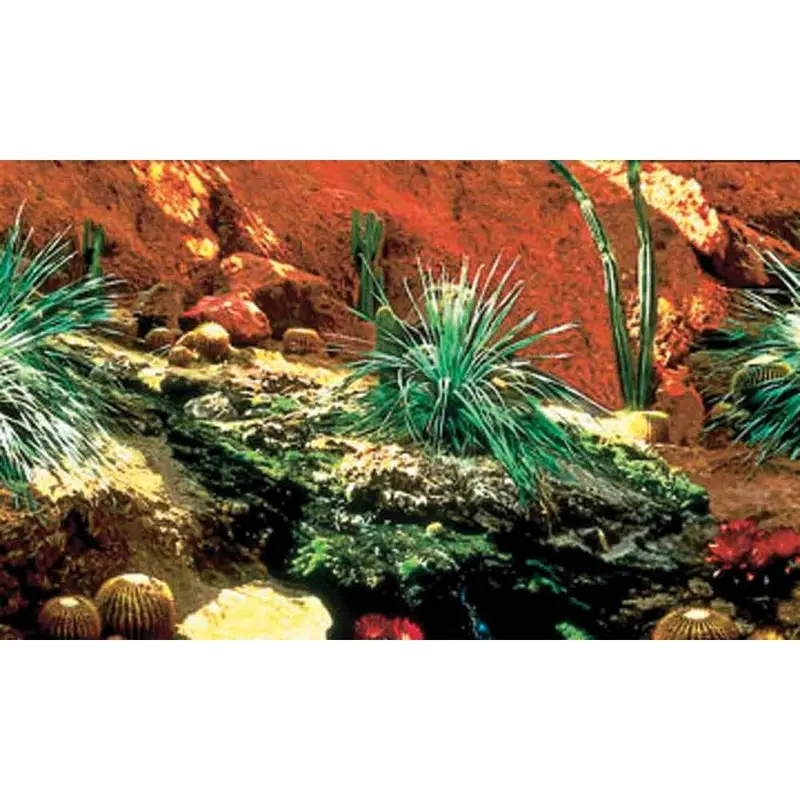 Penn Plax Background - Cactus Garden/ Rainforest - 19 in.