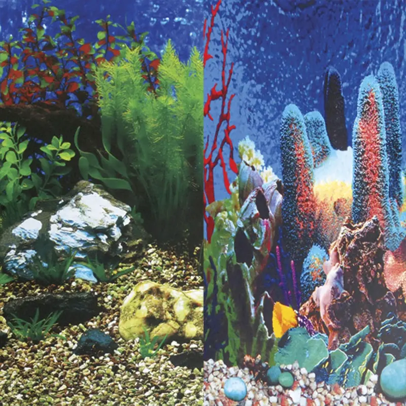 Underwater Treasures - Hawaii Blue/Show Reef Background 20in