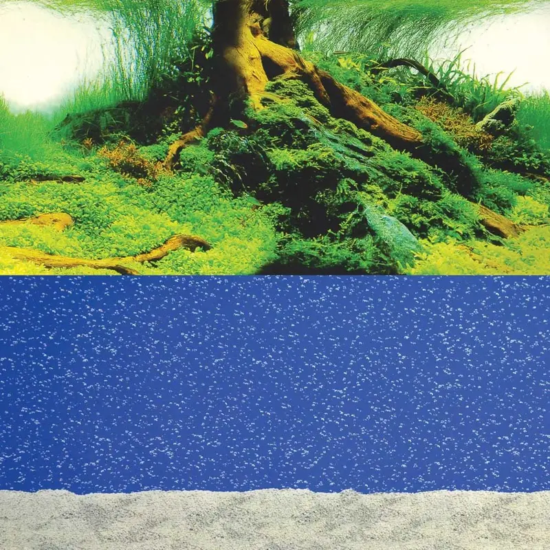 UT Background - Bubbling Sand / Amazon - 24 inch