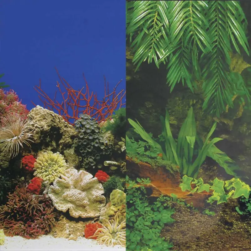 UT Background - Sea Floor / Creeping Vines - 24 inch