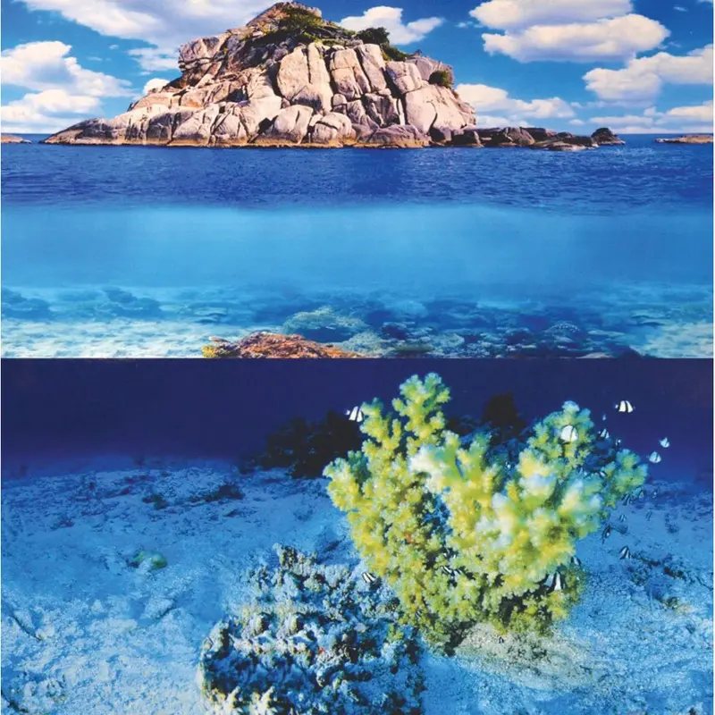 UT Background - Yellow Coral/ Waves Stone - 12 in.