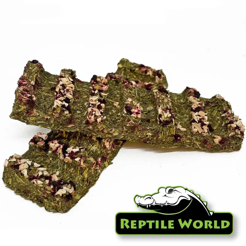 Reptile World (X2) Tortoise Veggie Treat Bars - Treat Food For Tortoises