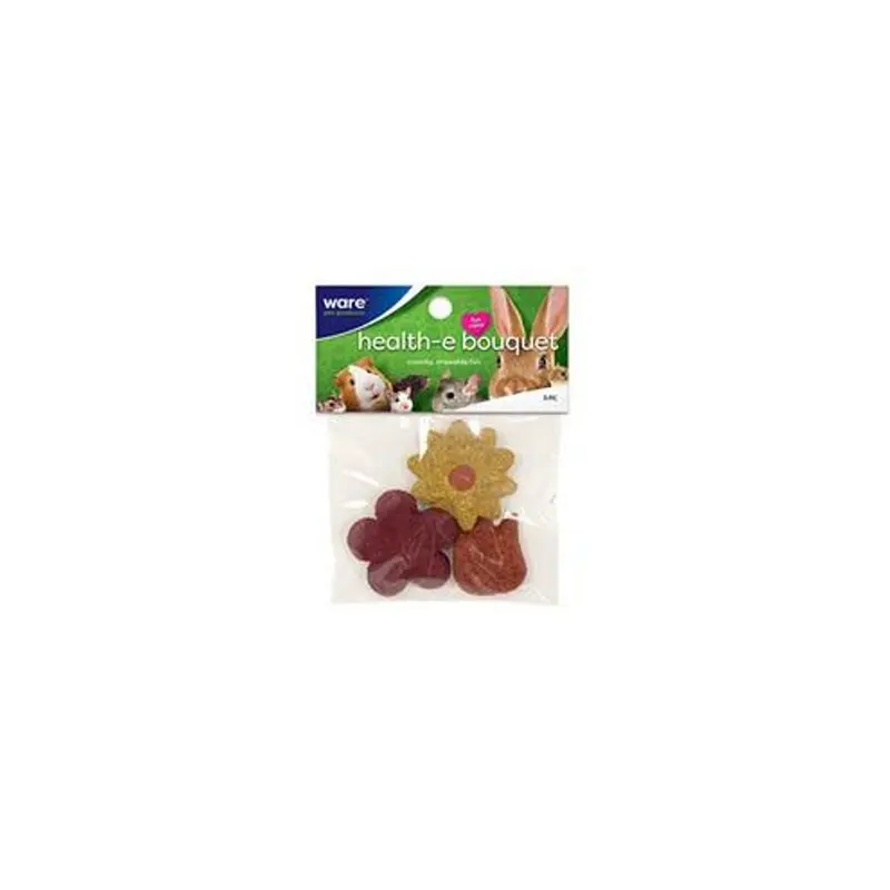 Ware Manufacturing Inc Health-E-Bouquet, Chew Treat, Animals, 3-Pc. -13079 Small