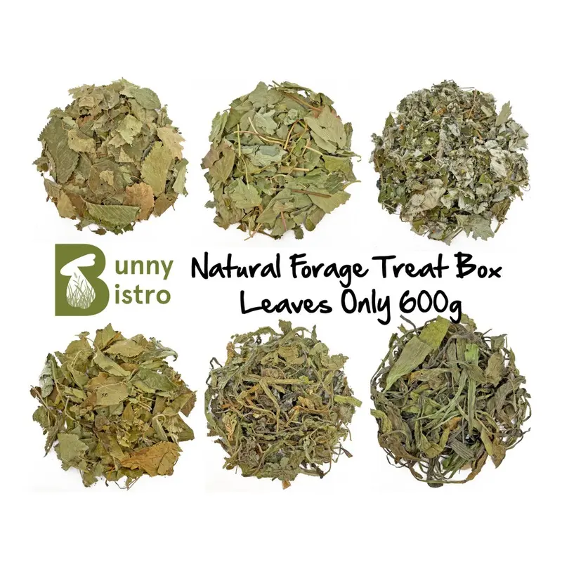 New Bunny Bistro (Leaves Only (600G)) Natural Forage Treat Box - Botanical Natural Food