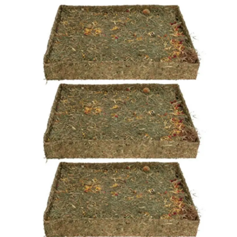 Ab Tools Red Animal Pet Treat Rabbit Guinea Pig Nibble N Dig Meadow 3Pack Small