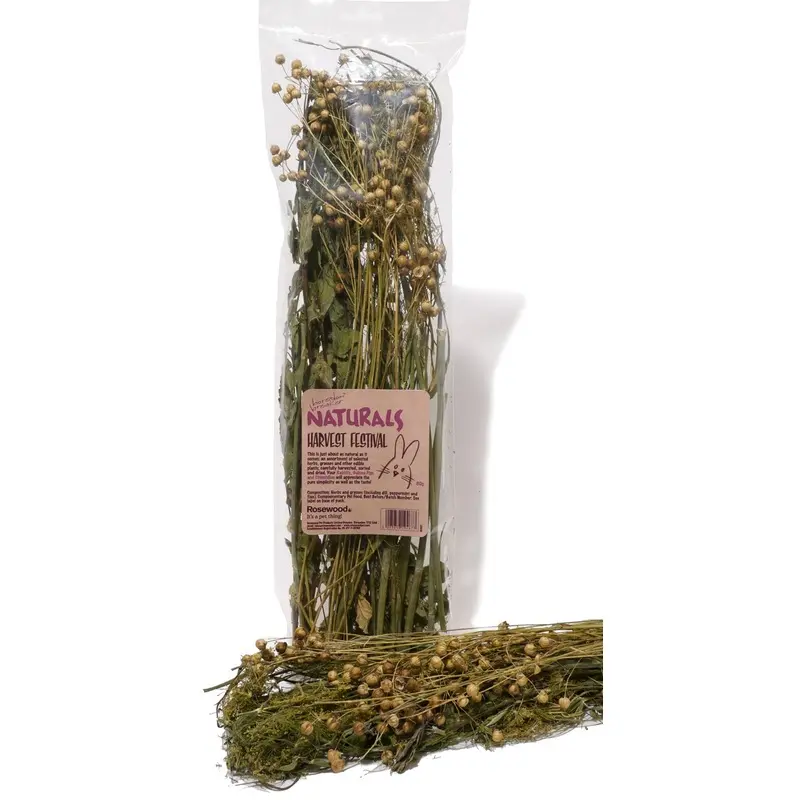 Boredom Breakers Boredom Breaker Harvest Festival For Animals - 80G Bag Small
