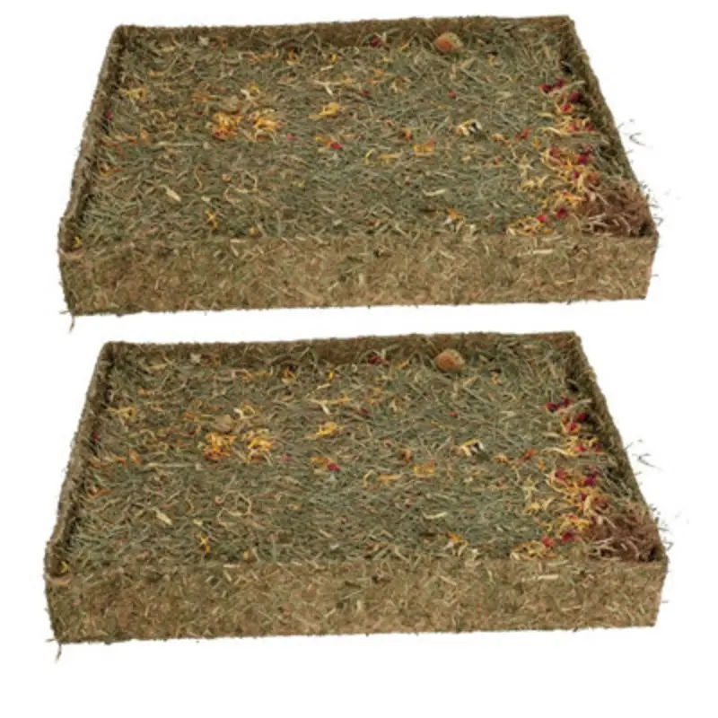 Ab Tools Small Animal Pet Treat Rabbit Guinea Pig Nibble N Dig Meadow 2 Pack Red