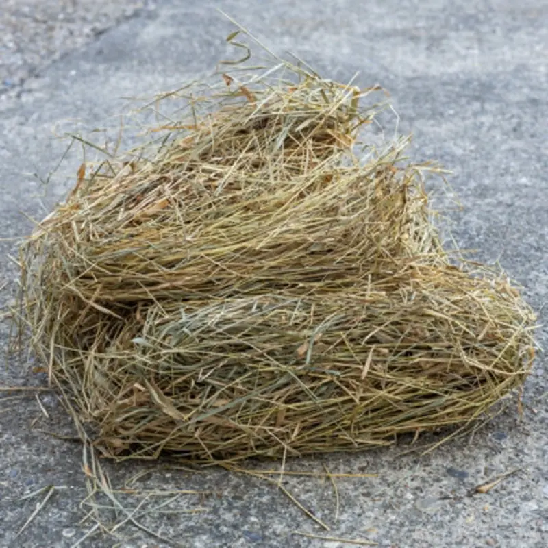 Woodside Hedgehog House Nesting Material 400G