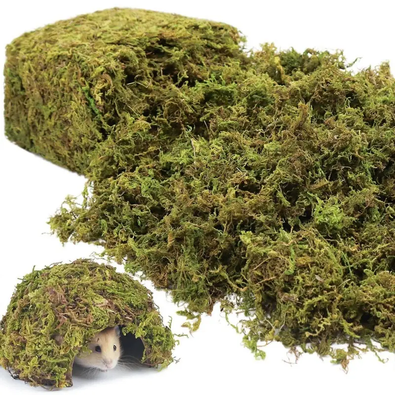 25Qt Natural Hamster Moss Bedding For Pets Small
