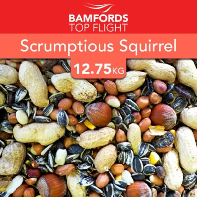 B&Q Bamfords Scrumptious Squirrel & Chipmunk Food Mix 12.75Kg