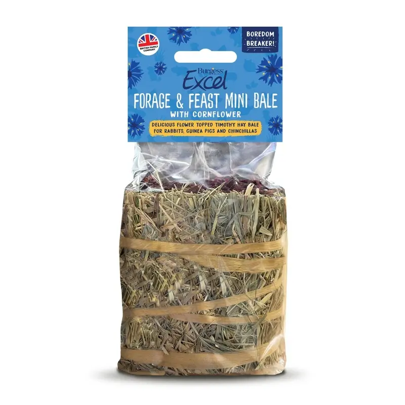 Burgess Excel Forage And Feast Mini Bale With Cornflower - 100G