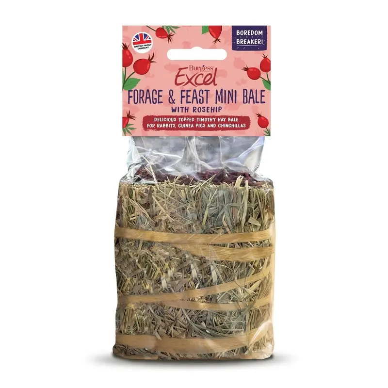 Burgess Excel Forage And Feast Mini Bale With Rosehip - 100G