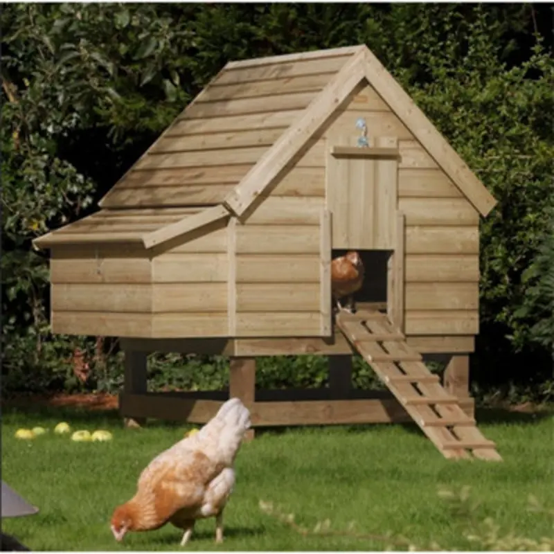 Cheshire Spacious Chicken Coop White