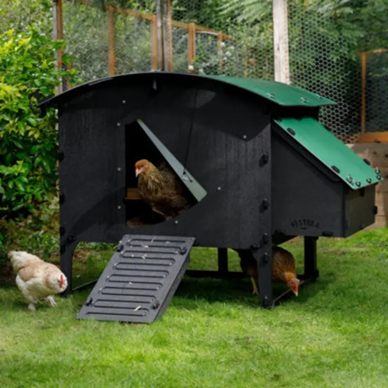 Nestera The Large Lodge - 8 Hen House - Recycled Plastic - 25 Year Warranty