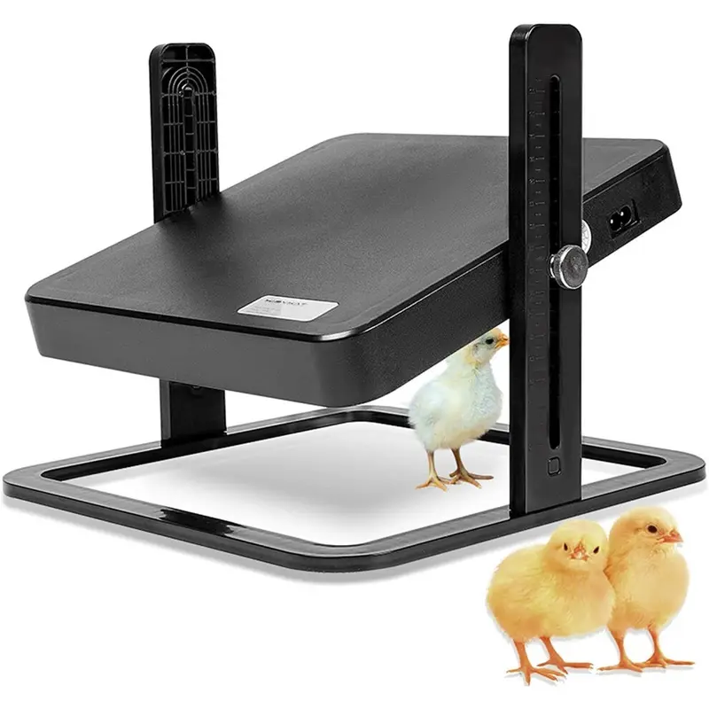 Xinyu Chick Poultry Brooder - 10.8 Size 10