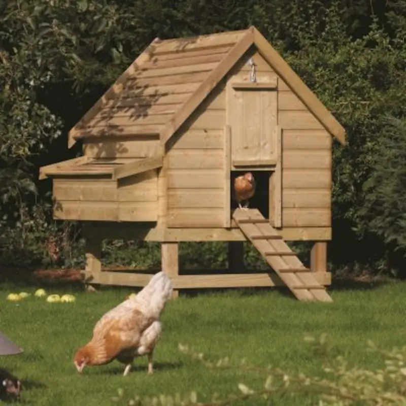 Rowlinson Green Tint Chicken Coop Large