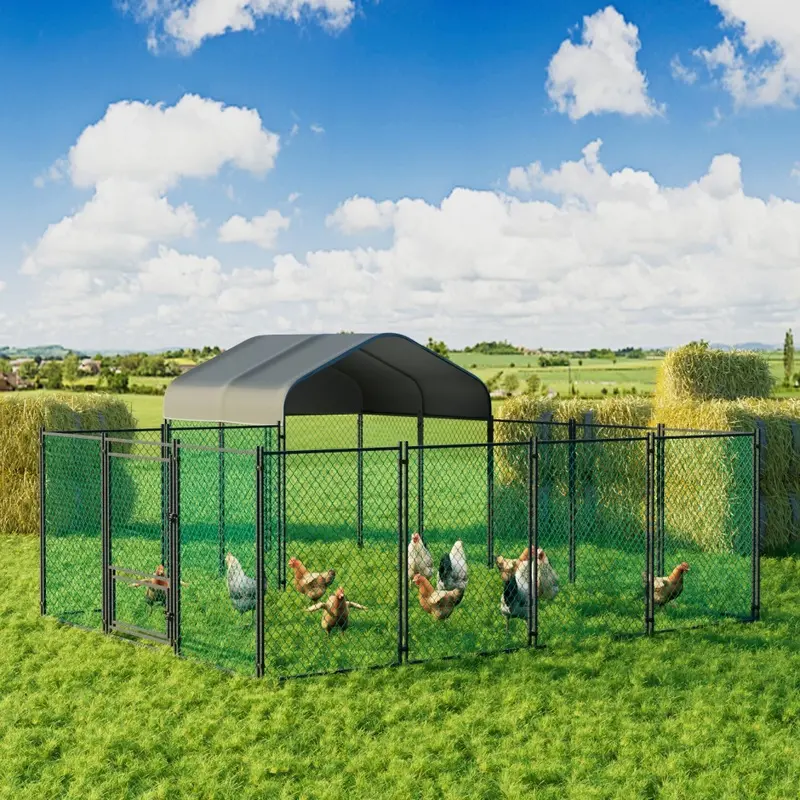Bingopaw Outdoor Metal Chicken Coop Pen Cage Walk-In Poultry Run Coop Large