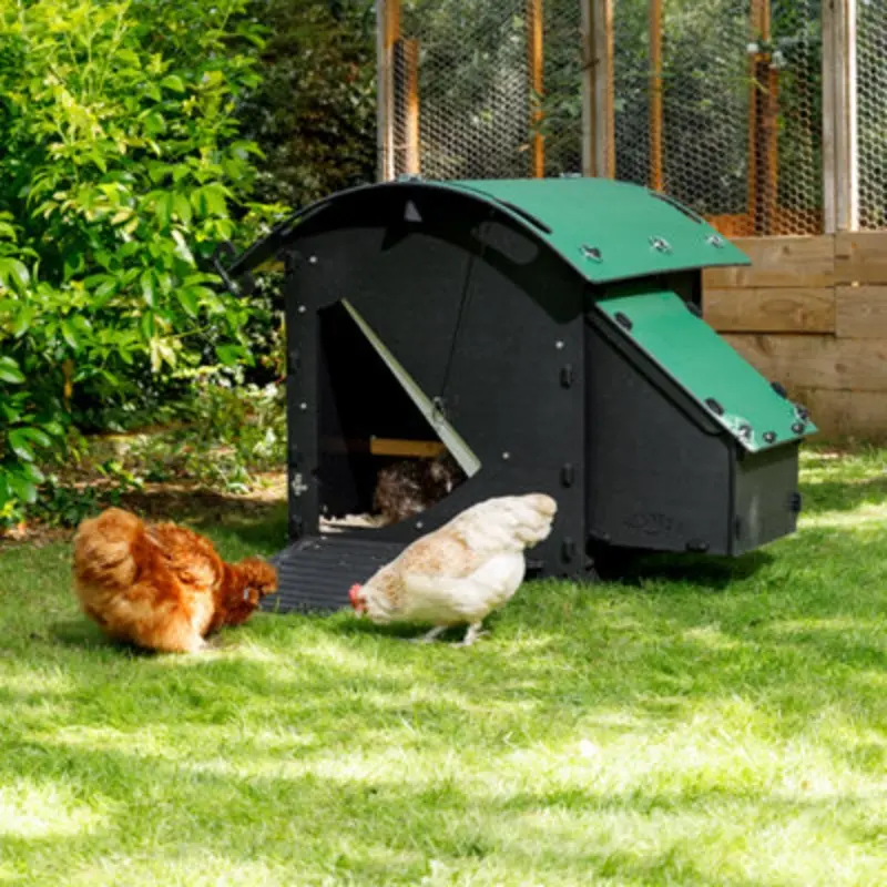 Nestera The Small House - 3 Hen House - Recycled Plastic - 25 Year Warranty