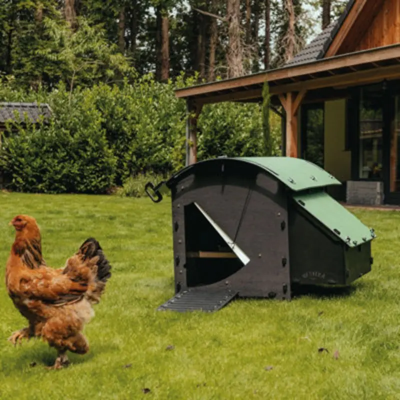 Nestera The Medium House - 5 Hen House - Recycled Plastic - 25 Year Warranty