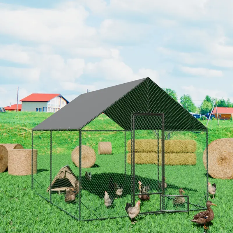 Bingopaw (602X300cm)) Outdoor Chicken Coop With Metal Powder Tube Size 3