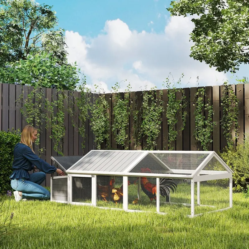 Pawhut Chicken Coop With Nesting Box For 4-8 Chickens Wood White