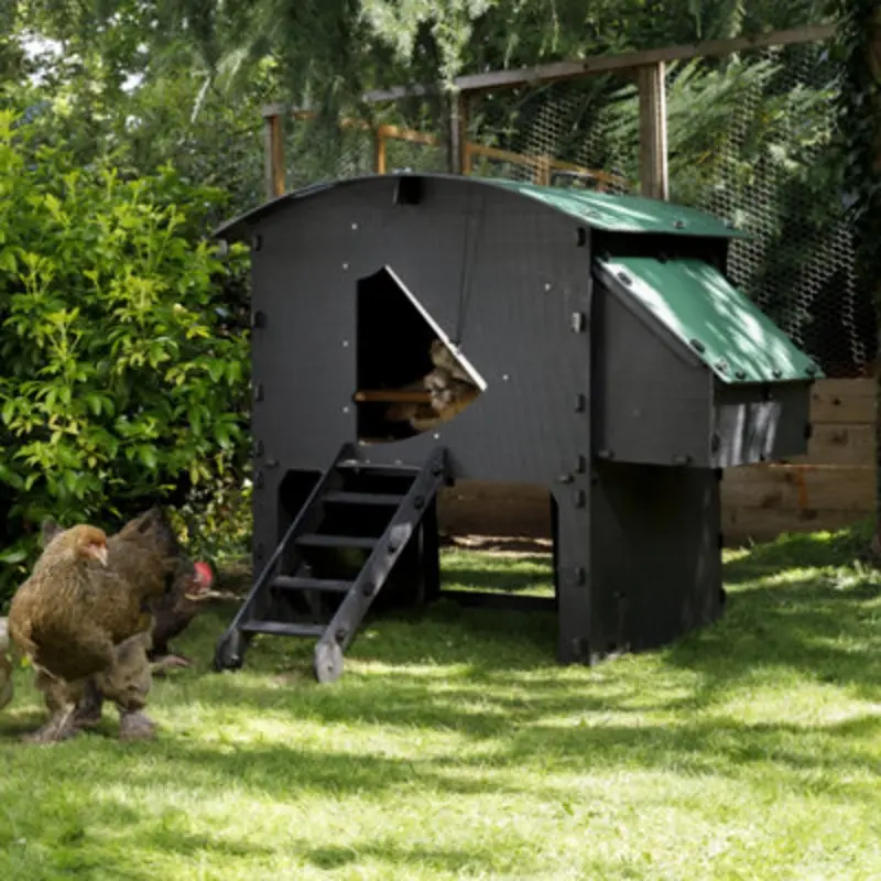 Nestera The Penthouse - 8 Hen House - Recycled Plastic - 25 Year Warranty Large