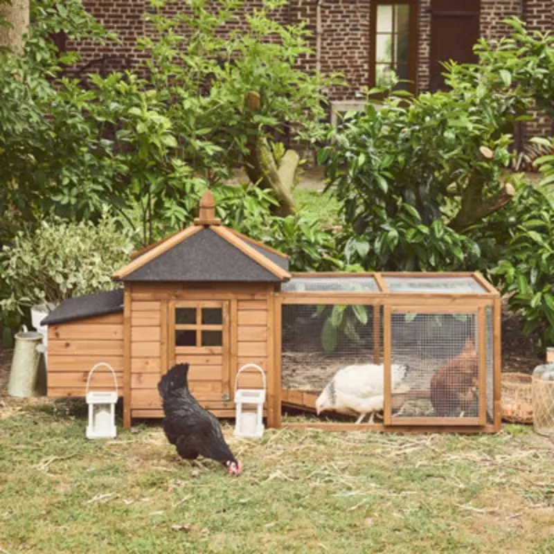 Sweeek Wooden Chicken Coop For Chickens With Nesting Box Natural Size 4