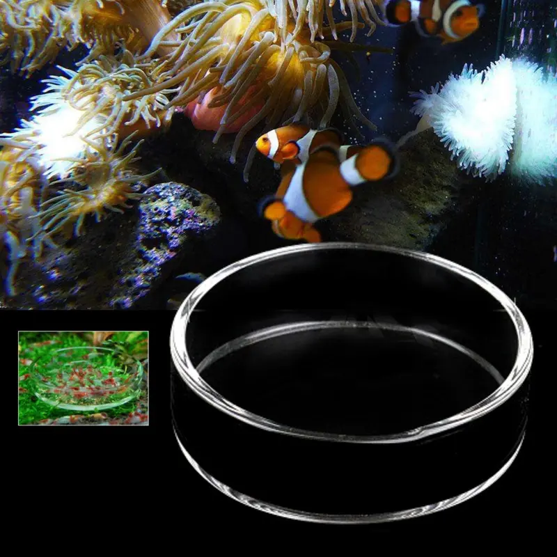 Clear Aquarium Fish Tank Glass Shrimp Feeding Food Dish Feeder Tray Fish Feeder 6Cm