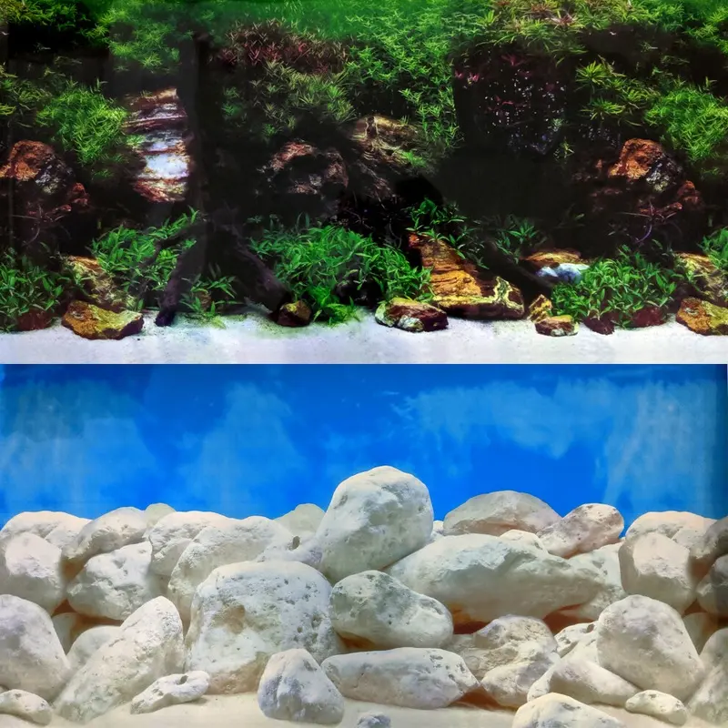 Aquacadabra (24, Double-Sided) Repeating Double Aquascape Background Size 24