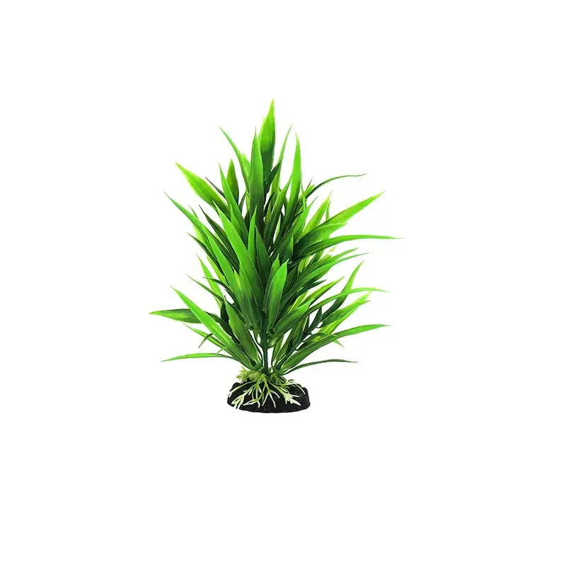 Classic Aquatics Rush Plant Small