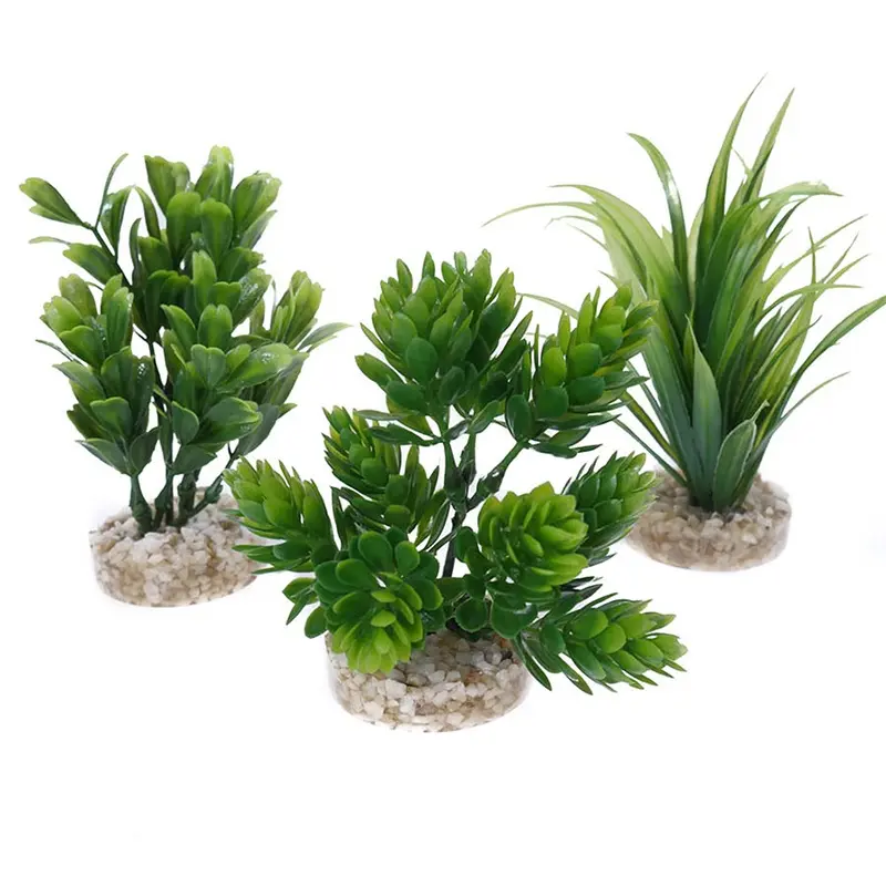 Sydeco Magic Aqua Natural Aquarium Plant