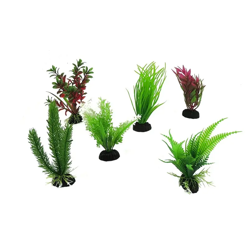 Classic Aquatics Aquatic Plants Small 6 Pack