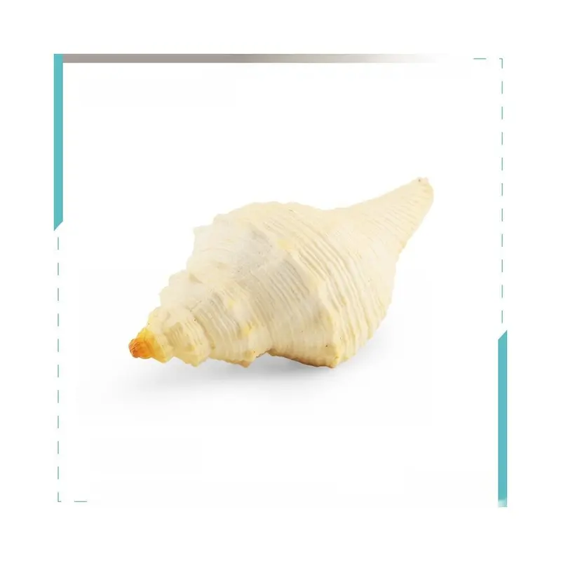 (Snail) Marine Pvc Life Model With Realistic Pipi Shrimp And Crab Decor For Aquarium