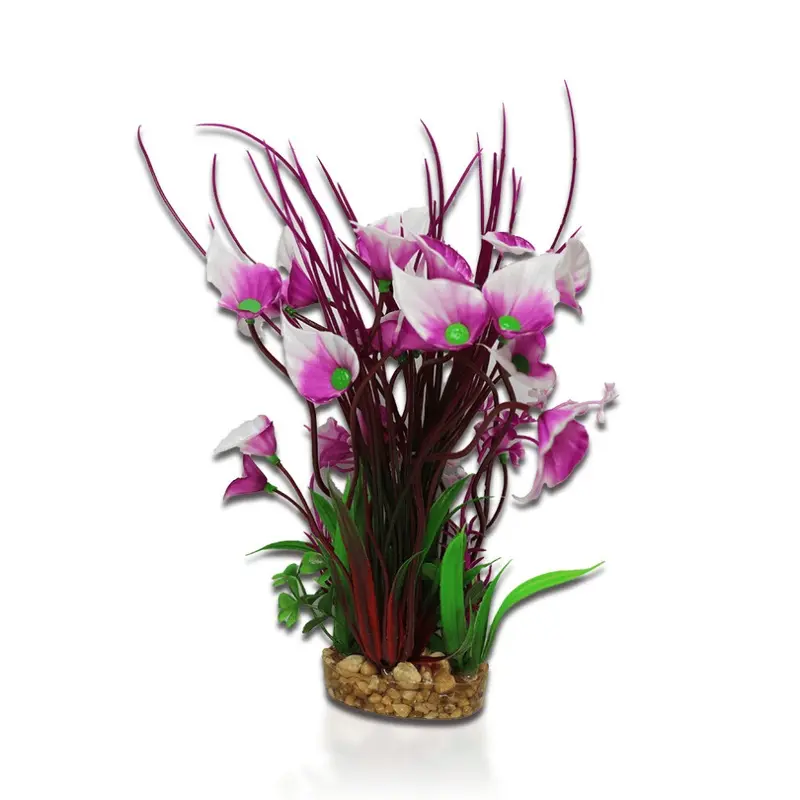 Aqua One Purple Villarsia/Hygrophila Medium