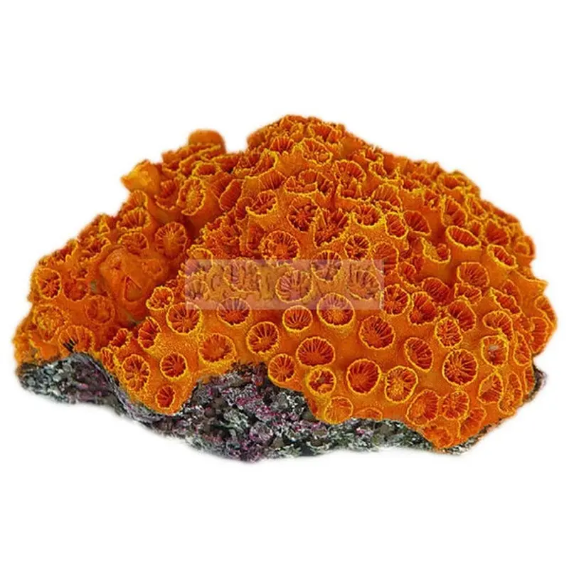 Betta Orange/Coral Aquarium Ornament Artificial Sun Ms922
