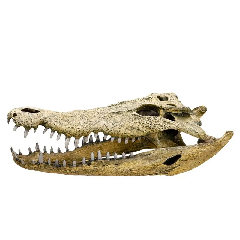 Nobby Crocodile Skull Aquarium Ornaments, 47.5 x 20.5 x 16 cm
