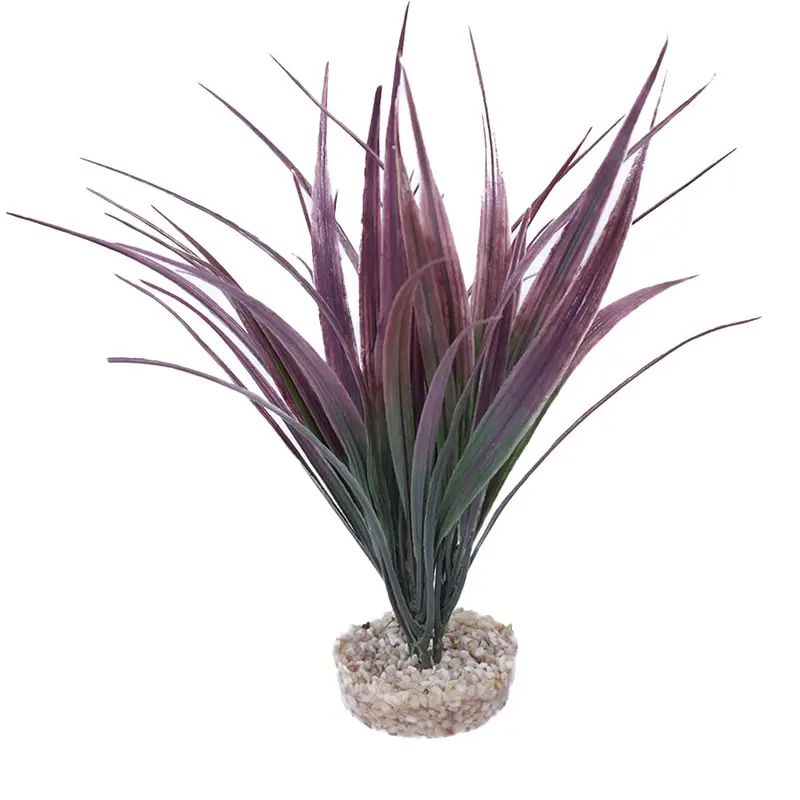 Sydeco Amazonia Aquarium Plant