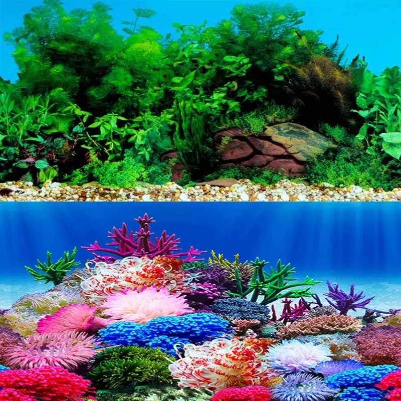 Elebox New X 48 Fish Tank Background Stickers Wallpaper 2 Sided Sea Size 20