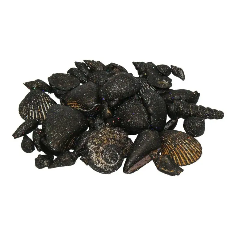 Fornord Black Decorative Sea Shells Glitter Aquarium Display DCor