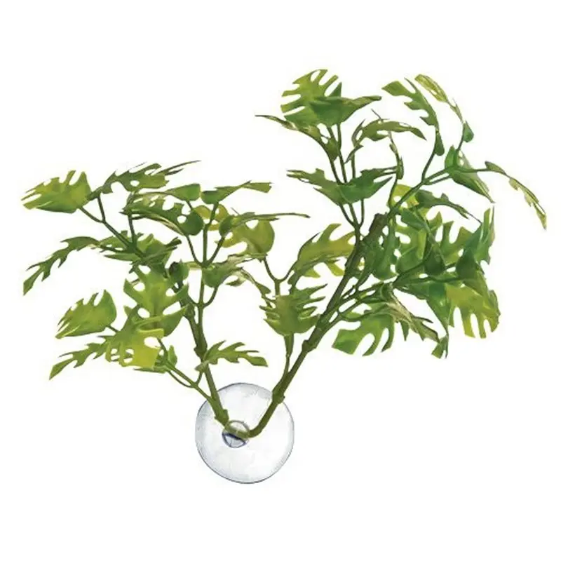 Zoo Med Laboratories AZMBP25 Betta Plant Window Leaf