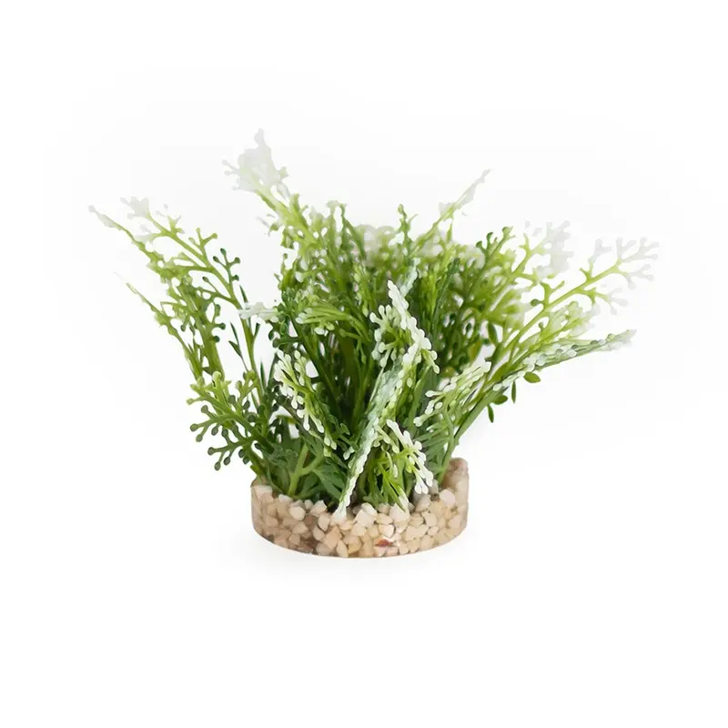 Sydeco Tropical Moss Aquarium Plant