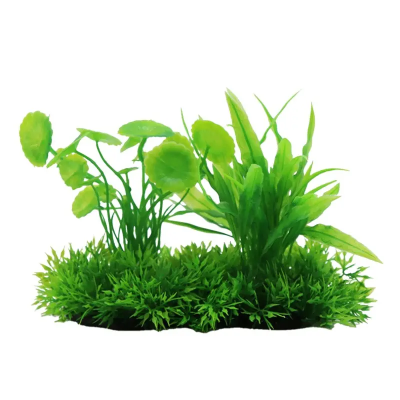 Swell Uk Swell Hydrocotyle & Echinodorus Combination Artificial Plant Aquarium DCor