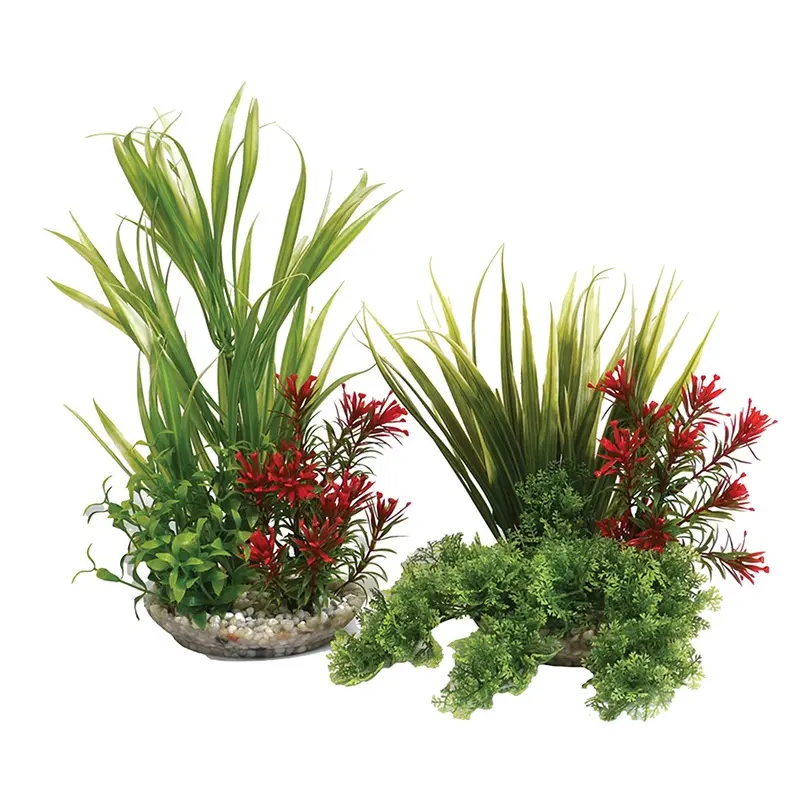 Sydeco Natural Bouquet Aquarium Plant