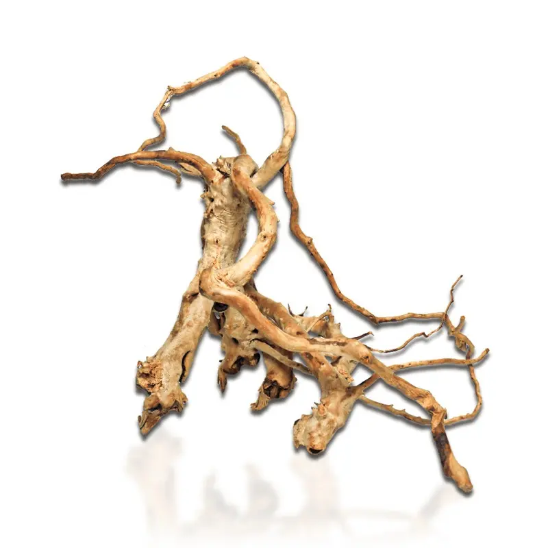 Aqua One (Aqua One Azalea Root - 30Cm) Azalea Root Size 20