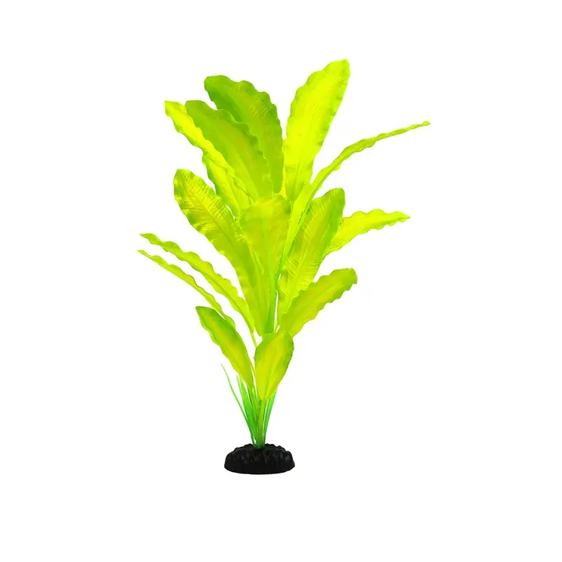 Classic Aquatics Aquatic King Sword Plant Large