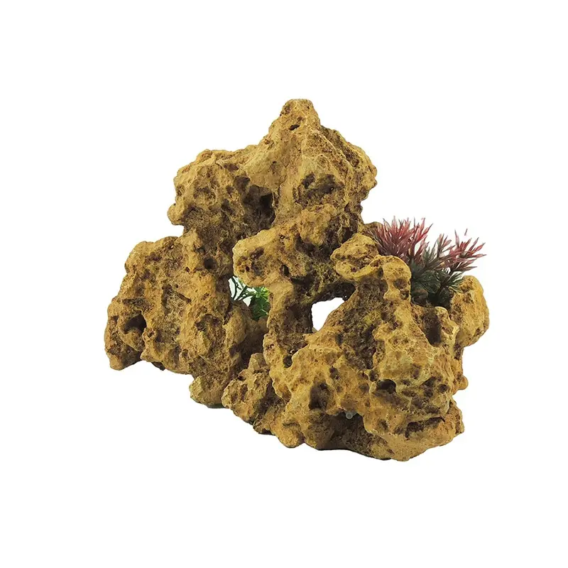 Classic Aquatics Desert Swim-Through Large Ornament