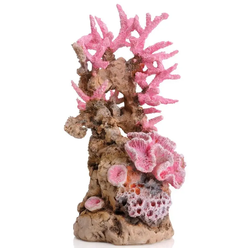 Oase Pink Sam Baker Ornamental Reef Medium
