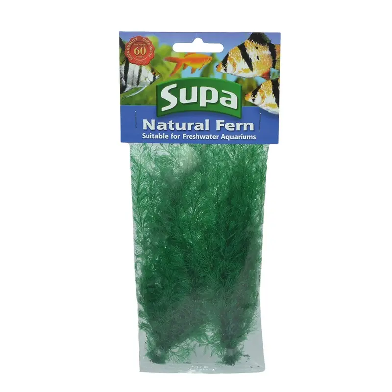 Supa Natural Fern Aquarium Plant Green Medium 2 Pack