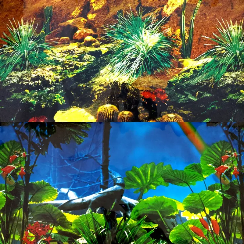 Aquacadabra (48) Cactus Garden / Rainforest Repeating Background - 19"H Size 48